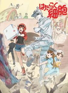 hataraku-saibou